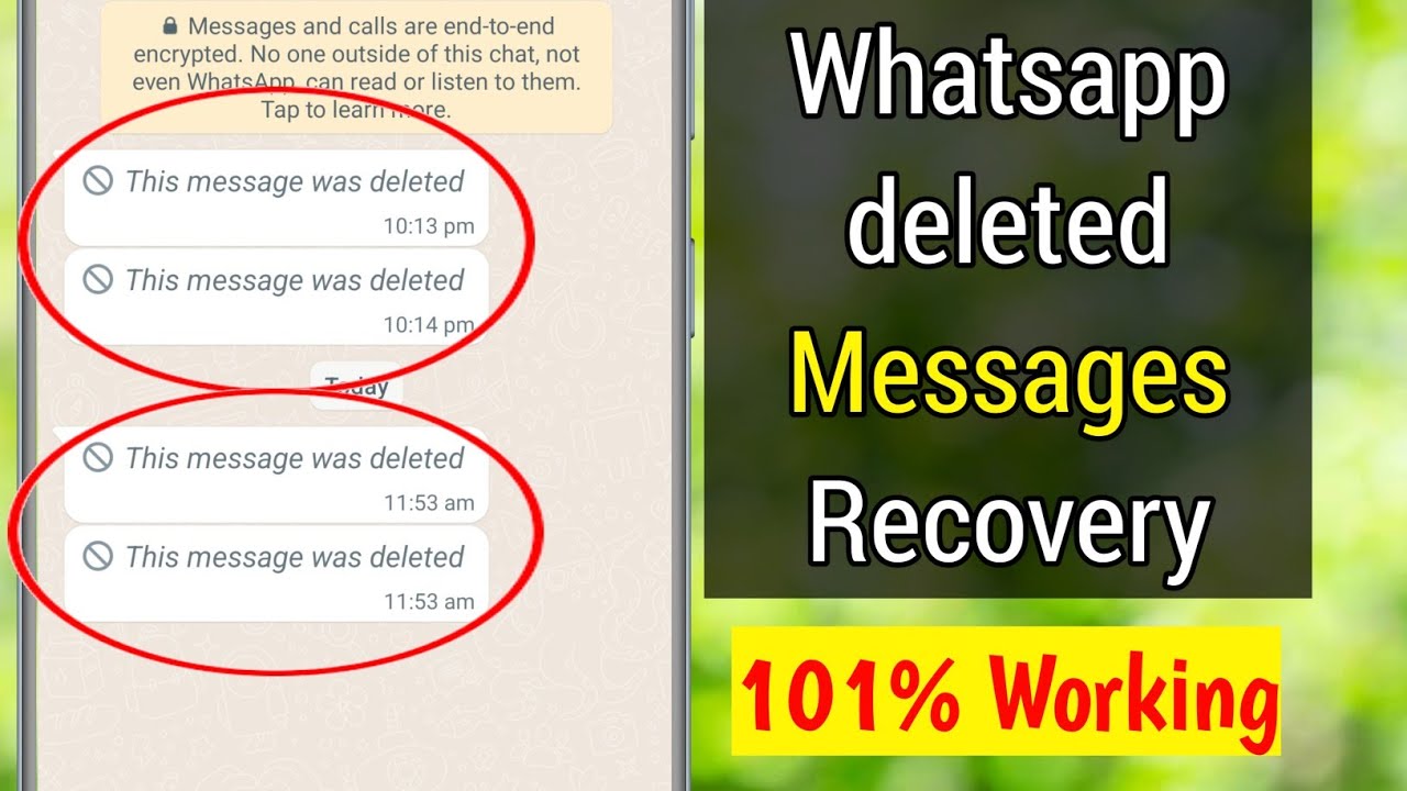 WD Pro : Read Whatsapp Deleted Messages